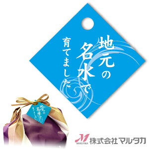 ڗD H^  500Zbg i L20121