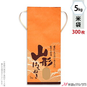 đ KH-0001 }^J Ntg R`Y͂ʂ i˂j t p 5kgpRt y1P[Xi300jzEy100 zEy20zyđ 5kgz