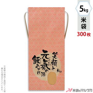 đ KH-0033 }^J Ntg ̌iȂj t p 5kgpRt y1P[Xi300jzEy100 zEy20zyđ 5kgz