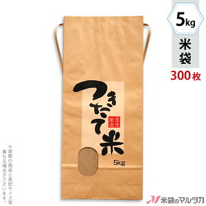 đ KH-0130 }^J Ntg ĕ YnIiȂj t p 5kgpRt y1P[Xi300jzEy100 zEy20zyđ 5kgz