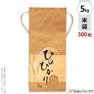 đ KH-0210 }^J Ntg Ђ̂Ђ ՉiƂˁj t p 5kgpRt y1P[Xi300jzEy100 zEy20zyđ 5kgz