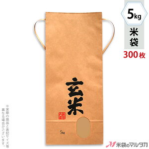 đ KH-0370 }^J Ntg  Ǎi傤jiȂj t p 5kgpRt y1P[Xi300jzEy100 zEy20zyđ 5kgz