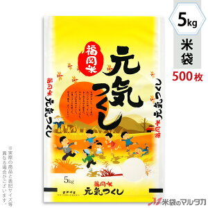 đ ~ tuX YC@ɂ 5kg y1P[Xi500jzEy100 z MN-0037