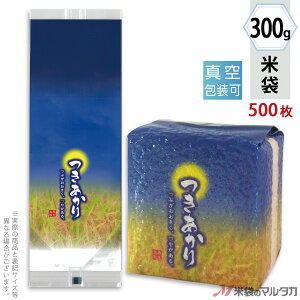 đ ^󏬑܃K[bg ~   300gpi2j y1P[Xi500jzEy100 z VGN-448