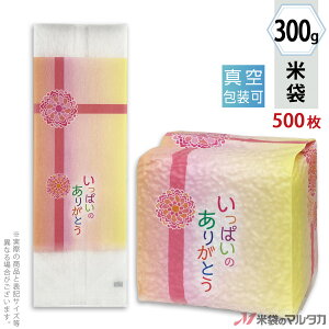 đ ^󏬑܃K[bg [a ς̂肪ƂiȂj 300gpi2j y1P[Xi500jzEy100 z VGY-417