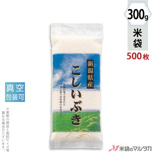 đ [a ^󍇏\蕽 VYԂ  300gpi2j y1P[Xi500jzEy100 z VTY-407