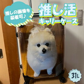 President　推し活スーツケース　Sサイズ　ポリカーボネート　TSAロック　Wウィルキャスター　静音　エキスパンド機能　3段階調節キャリーバー　プロテクター　4輪自在キャスター　YKKダブルエレメント　ファミリー　出張　5348-20