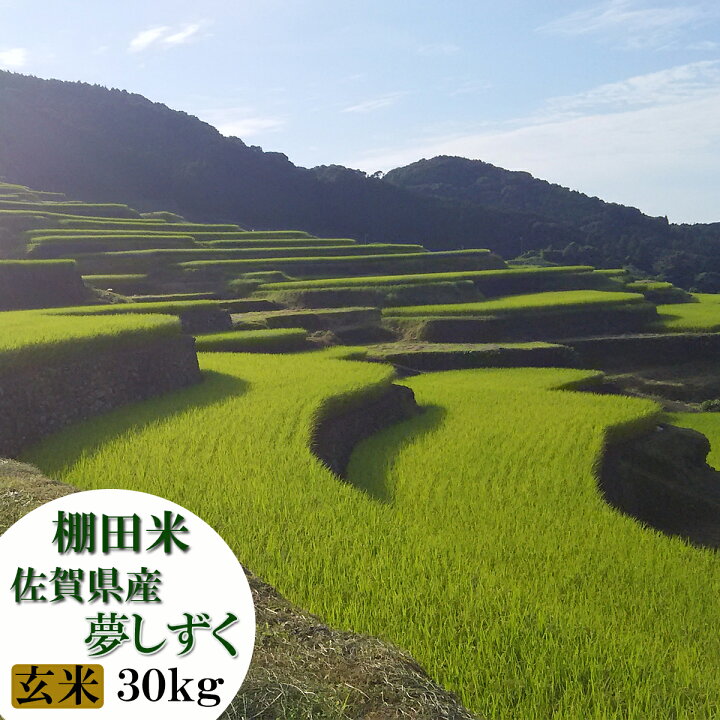 楽天市場】【令和6年産 新米】【送料無料】佐賀県産 棚田米 夢しずく  