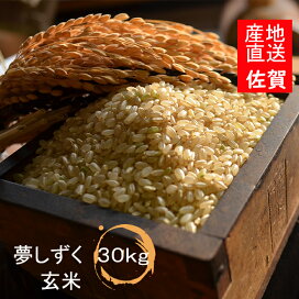 楽天市場】【令和7年産 】【1等米限定】【佐賀から直送】さがびより 