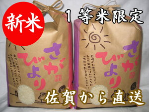 yߘa7NY Vāzy1Čzyꂩ璼zт YnI@10kgi5kg×2jyz14NAuAv@yāzyRCPzyBYzyyMt_̂zyyMt_̂zy