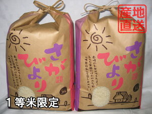 �y�ߘa7�N�Y �z�y1���Č���z�y���ꂩ�璼���z�����т�� �Y�n���I�@10kg�i5kg×2�j�y���������z14�N�A���u��A�v�@�y����āz�yRCP�z�y��B�Y�z�y�y�M�t_�̂��z�y�y�M�t_�̂������z�y�������z