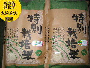 yāzyߘa7NY Vāzyтzy5ȏ㌸_Ew엿zyʍ͔|āz@B@ꌧ@5kg×2y10P26Mar16z