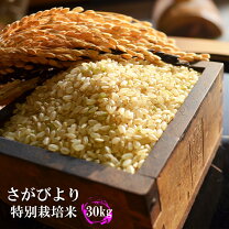楽天市場】さがびより 玄米 30kgの通販