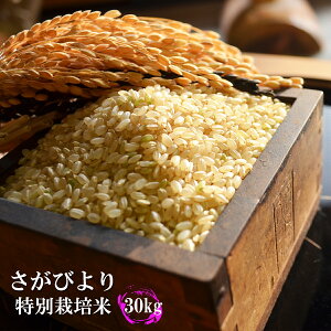 yߘa7NYzy1āzyʍ͔|ā@т茺30kgzy5ȏ_򌸁E5ȏ㉻w엿z@B@ꌧ@y05P02Aug14zy10P30Nov14z