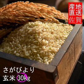 楽天市場】【令和7年産】佐賀県産もち米 ヒヨクモチ 玄米30kg【ひ 