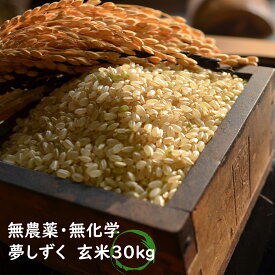 【令和5年産】【玄米30kg】【無農薬】【無化学肥料】　佐賀県産　夢しずく　特別栽培米　九州　【農薬不使用】【化学肥料不使用】