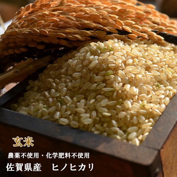 楽天市場】【令和7年産】【玄米30kg】【無農薬】【無化学肥料 