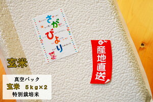 yߘa6NYzyā@^pbNzyʍ͔|āz т 10kgi5kg×2jyz10NAōNuAv@yāzyRCPzyBYzyyMt_̂zyyMt_̂z