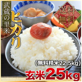 楽天市場】令和7年度産 茨城県産コシヒカリ 玄米30kg（精米無料）（1等 