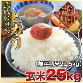 とれたて武蔵の里米 ヒカリ 玄米25kg（精米無料）（農家直米）（送料無料　但し北海道　中国　九州　四国　沖縄　離島を除く）