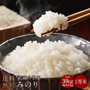 Ƃꂽĕ̗ā@݂̂ 30kgiĖji_ƒāji@kC@@B@l@@j