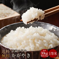 楽天市場】玄米 30kg 和歌山の通販