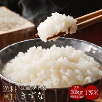 楽天市場】キヌヒカリ 玄米 30kgの通販