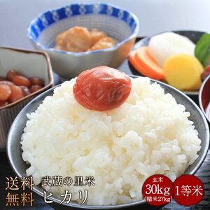 Ƃꂽĕ̗ qJ 30kgiĖji_ƒāji@AkC@@B@l@@j