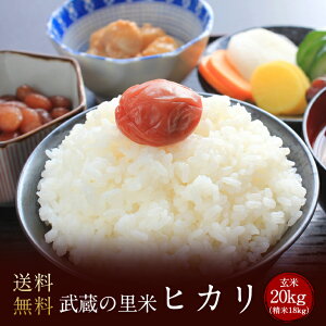 Ƃꂽĕ̗ qJ 20kgiĖji_ƒāji@AkC@@B@l@@j