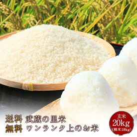 とれたて武蔵の里米　ワンランク上のお米 玄米20kg（精米無料）（農家直米）(送料無料　但し北海道　中国　九州　四国　沖縄　離島を除く）