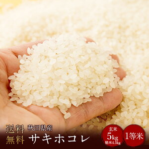 �V�ā@�ߘa7�N�x�Y�@�H�c���Y�T�L�z�R��1���āi���ʍ͔|�āj ����5kg�i����4.5kg�j�i���Ė����j�i1���āj(���������@�A���k�C���@�����@��B�@�l���@����������j���� ����