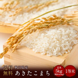 令和5年度産　秋田県産あきたこまち2等米 玄米5kg（精米無料）（1等米）(送料無料　但し北海道　中国　九州　四国　沖縄を除く）