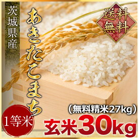 新米　令和5年度産　茨城県産あきたこまち1等米 玄米30kg（精米無料）（1等米）(送料無料　但し北海道　中国　九州　四国　沖縄　離島を除く）