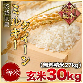 令和2年度産　送料無料　茨城県産ミルキークイーン 玄米30kg（精米無料）（1等米）(送料無料　但し北海道　中国　九州　四国　沖縄　離島を除く）