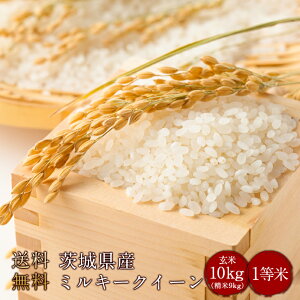 令和7年度産 送料無料 茨城県産ミルキークイーン 玄米10kg(精米無料)(1等米)(送料無料 但し北海道 中国 九州 四国 沖縄を除く)