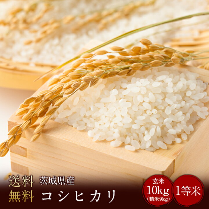 楽天市場】令和7年度産 茨城県産コシヒカリ 玄米10kg（精米無料）（1等 