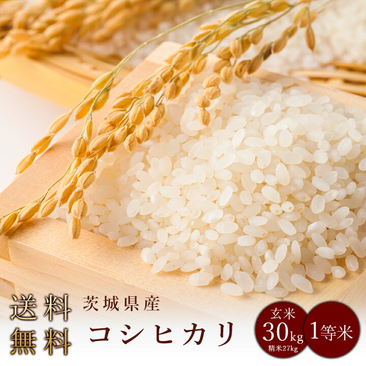 楽天市場】令和7年度産 茨城県産コシヒカリ 玄米30kg（精米無料）（1等 
