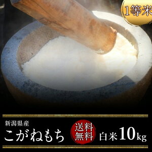  ߘa7NxY@VY˂1 10kgiājiāji1āj(@AkC@@B@l@@j