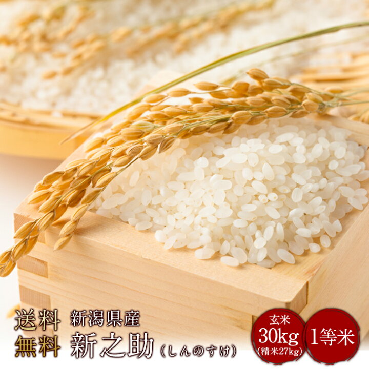 楽天市場】令和6年度産 新潟県産新之助（しんのすけ） 玄米30kg（精米  