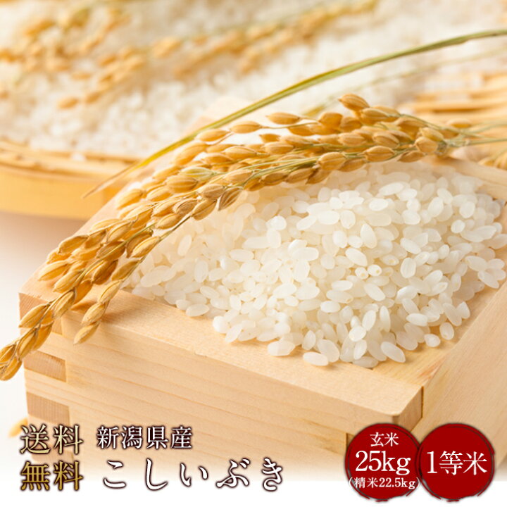楽天市場】令和7年度産 新潟県産こしいぶき1等米 玄米25kg（精米無料 