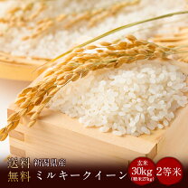 楽天市場】ミルキークイーン 30kg 茨城の通販