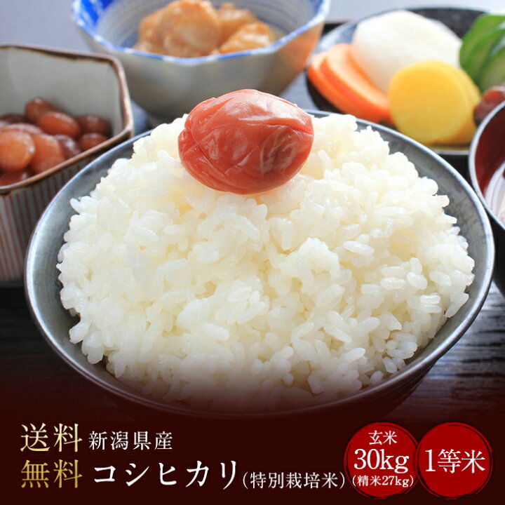 楽天市場】令和6年度産 新潟県産コシヒカリ1等米 玄米30kg（精米無料  