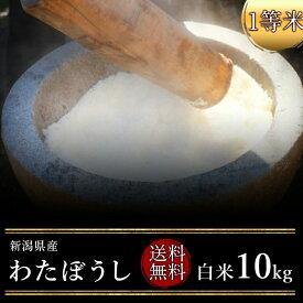 もち米 令和5年度産　新潟県産わたぼうし 白米10kg（白米）（もち米）（1等米）(送料無料　但し北海道　中国　九州　四国　沖縄　離島を除く）