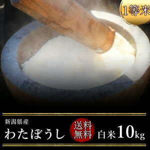  ߘa7NxY@VY킽ڂ 10kgiājiāji1āj(@AkC@@B@l@@j