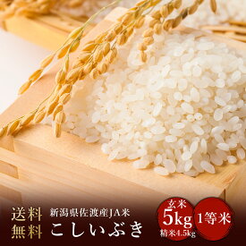 令和5年度産　新潟県佐渡産JA米こしいぶき 玄米5kg 精米4.5kg（精米無料）(送料無料　但し北海道　中国　九州　四国　沖縄　離島を除く）