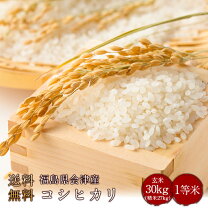 楽天市場】福島県産 コシヒカリ 30kgの通販