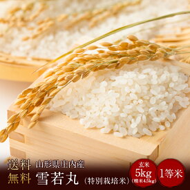 値下げ　令和7年度産　山形県産雪若丸 1等米 玄米5kg　（特別栽培米）　（精米無料）（1等米）(送料無料　但し北海道　中国　九州　四国　沖縄を除く）令和7年産 米 山形 雪若丸 つや姫 山形米 山形産 玄米 白米 精米 お米 安いお米 5キロ 1等米