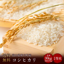 令和6年度産　富山県朝日町産コシヒカリ1等米 農家侍上質米玄米30kg（精米無料）（1等米）(送料無料　但し北海道　中国　九州　四国　沖縄　離島を除く）