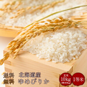 ߘa7NxY@kCY߂҂肩1 10kgiĖji1āj(@AkC@@B@l@j