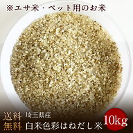 【エサ米・ペット用のお米】埼玉県産白米色彩はねだし米 送料無料 10kg(送料無料　但し北海道　中国　九…